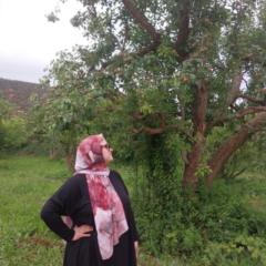 Jihad Bou