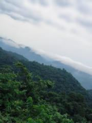 Bhavya Kolluru
