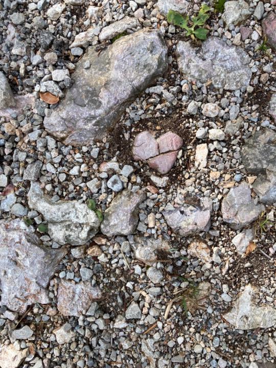 Julia-Verena Prinz-Bacher