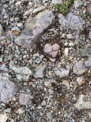 Julia-Verena Prinz-Bacher