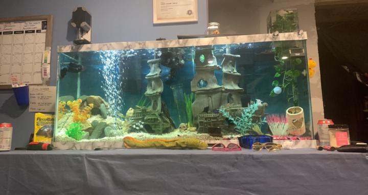 Aquatic Success Academy (ASA)