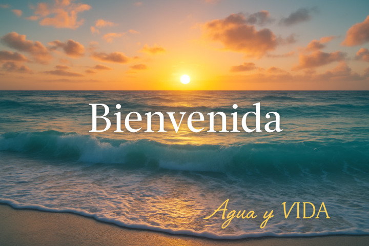 💧Bienvenid@ a Agua y VIDA💧