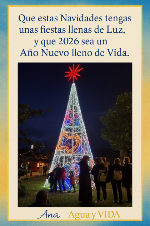 💫🎄 Felices Fiestas🎄💫