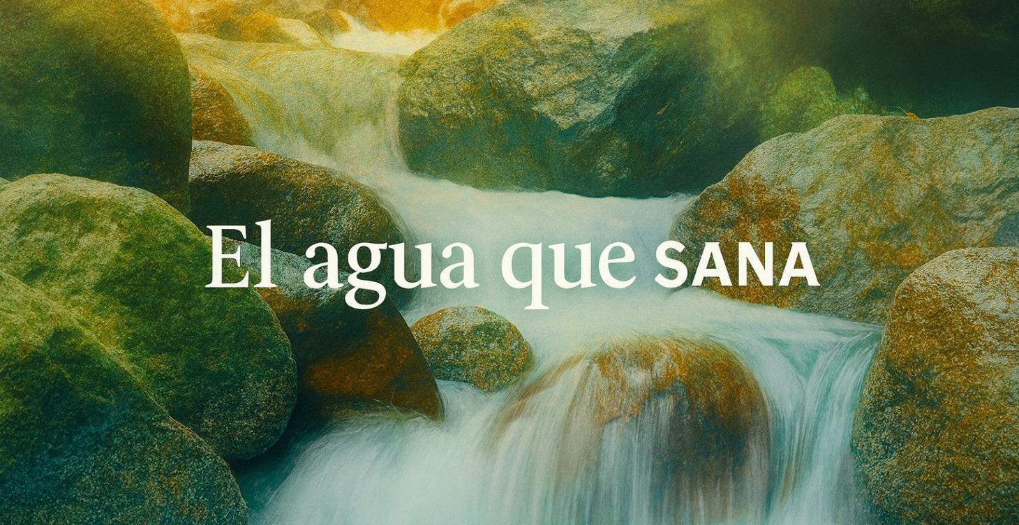 Puerta 6 : El agua que SANA