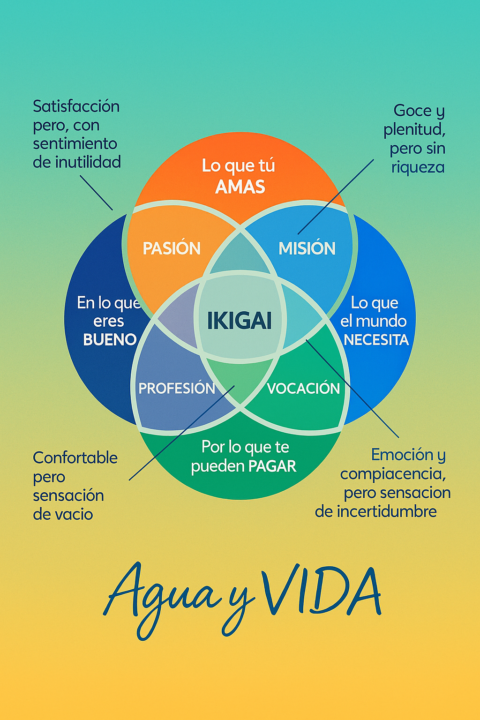 Volver al origen para vivir mejor: mi viaje hacia el agua