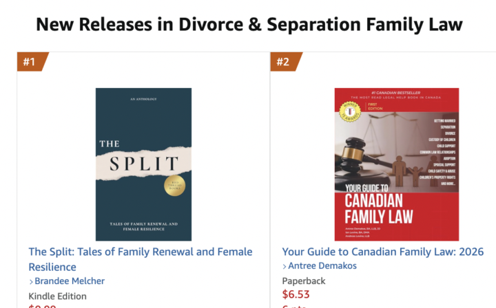 #1 New Release #9 bestseller in the divorce category
