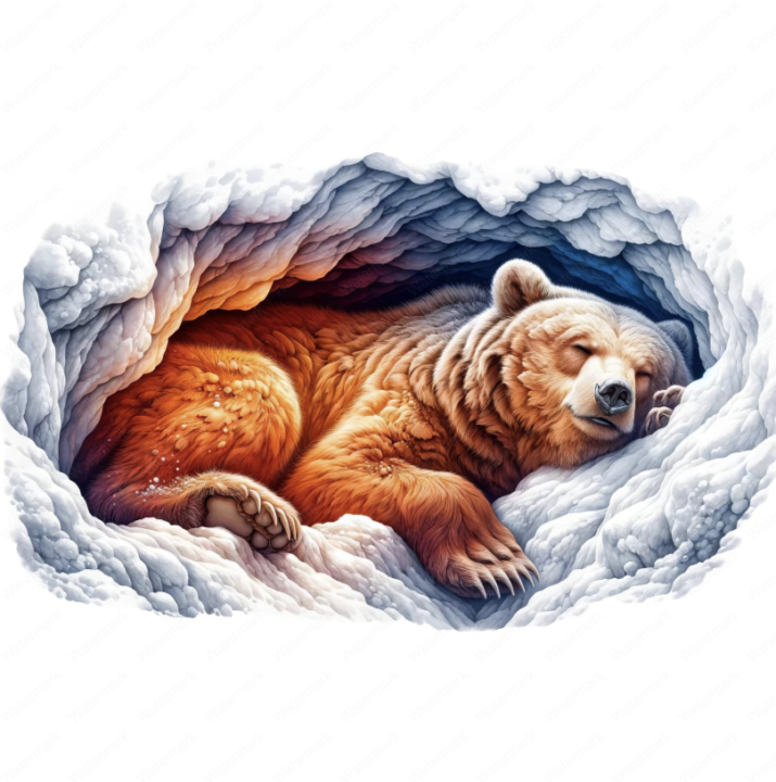 Back to Work... after the essential seasonal rest!