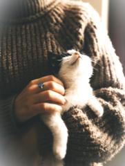 Enrique Morey Torralba