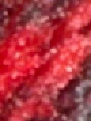 Brandon Tadeo Soriano Juarez