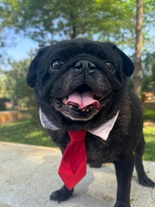 Ngo Thi kim thao