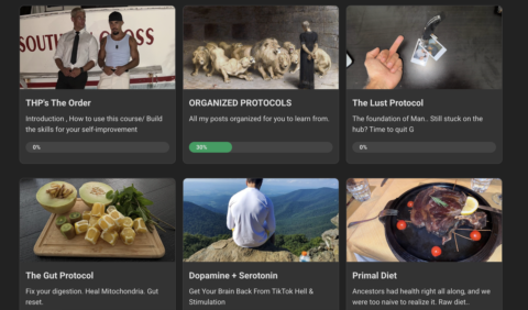 THEHORMONEPROPHET gallery image