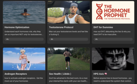 THEHORMONEPROPHET gallery image