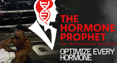 THEHORMONEPROPHET gallery image