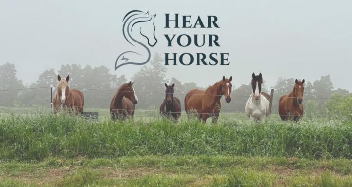 Hear Your Horse