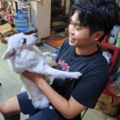 Jonas Alejandro Montecillo