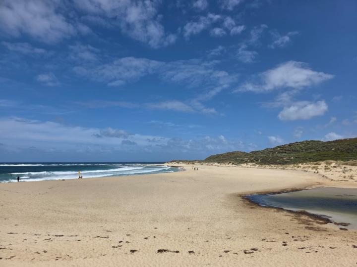 Hi everyone, I'm Luna✨🌕