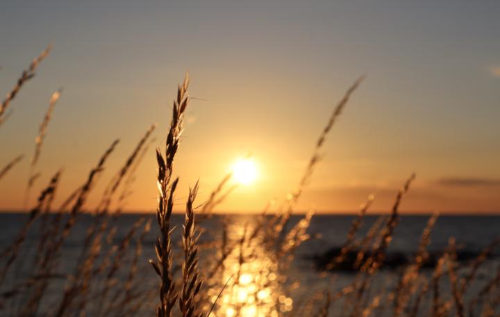 You can have 1,000 problems in life—until you have a health problem. Then, you have only one