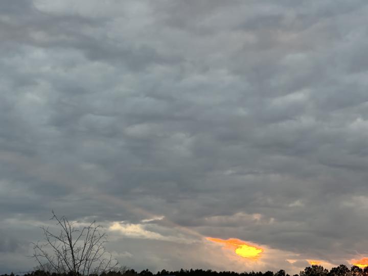 The Vision of Sol Transition 