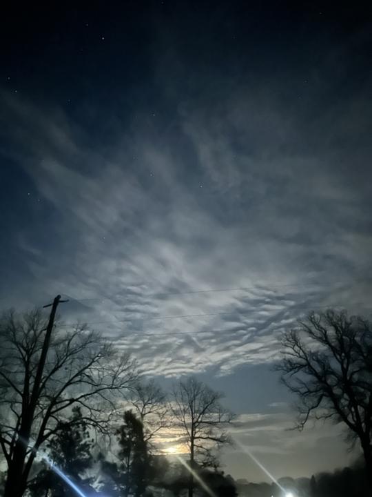 Freedom - Gene Key 55