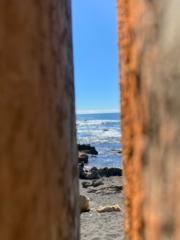 Mónica Cornejo Salinas