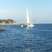 Kristi Bunte-Coleman