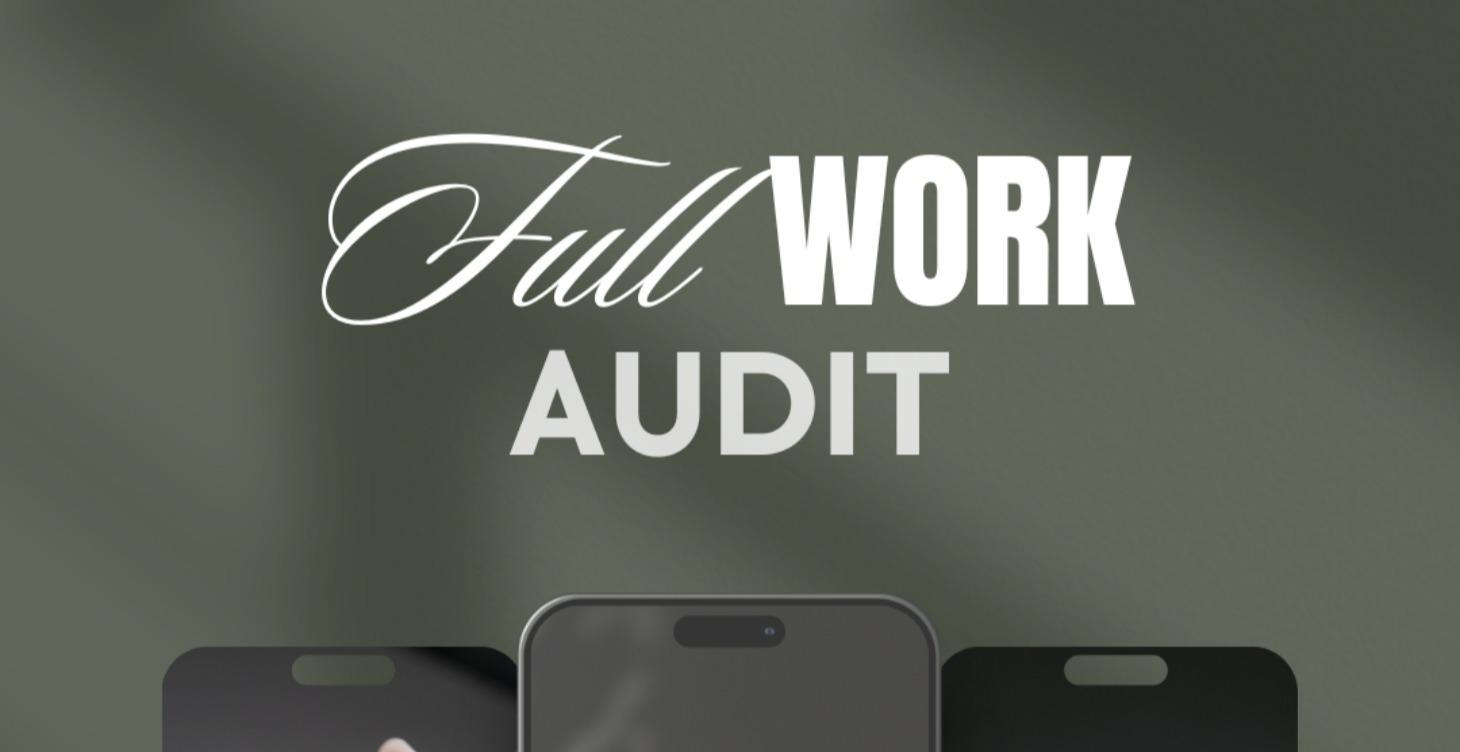 AUDIT - INSTRUCTIUNI