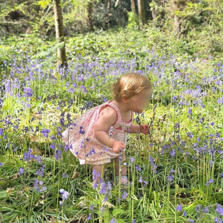 Q&A Favourite Flower 