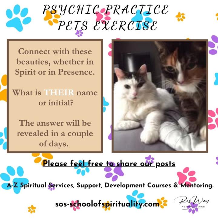 psychic exercise- pets