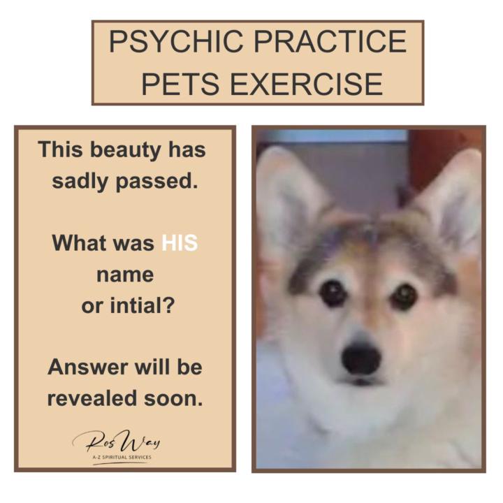 Todays Psychic Pet Exercise 