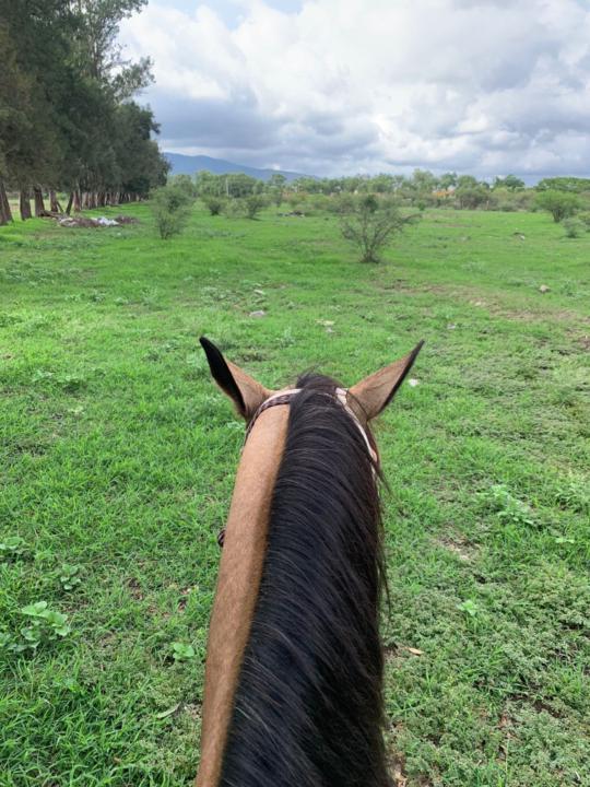 Emilio gabriel Peña