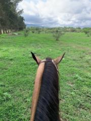 Emilio gabriel Peña