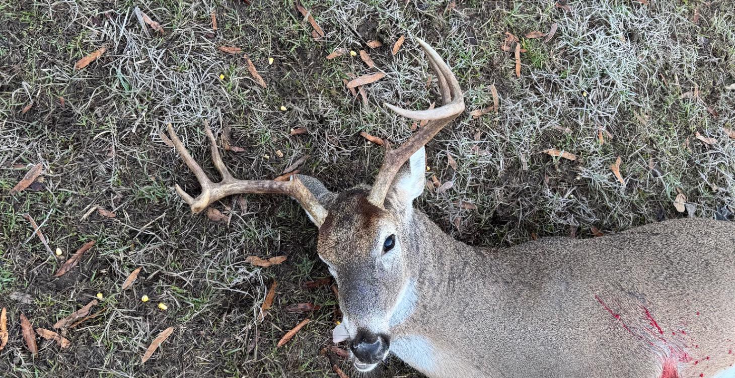 Where to make the perfect shot