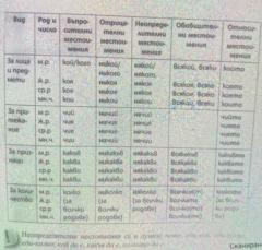 Силвия Димитрова