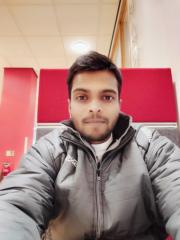 Sathish Saravanan