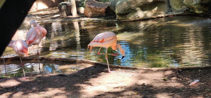 Jaime Dunbar-Thibodeaux