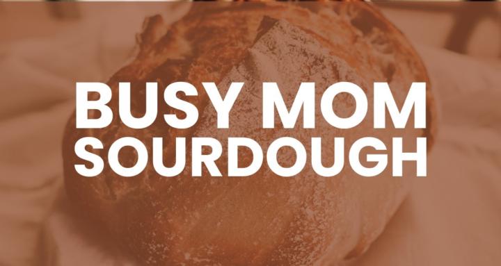 Busy Mom Sourdough