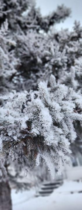 Oluwaseun Uwubanmwen