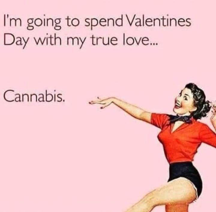 Valentine’s Day humor 🥰💨💚