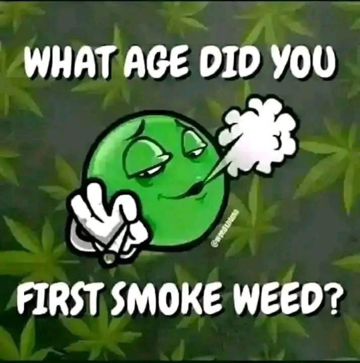 Canna Curious??