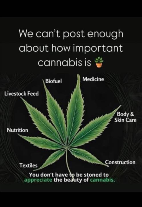 Cannabis- Natures Power Plant
