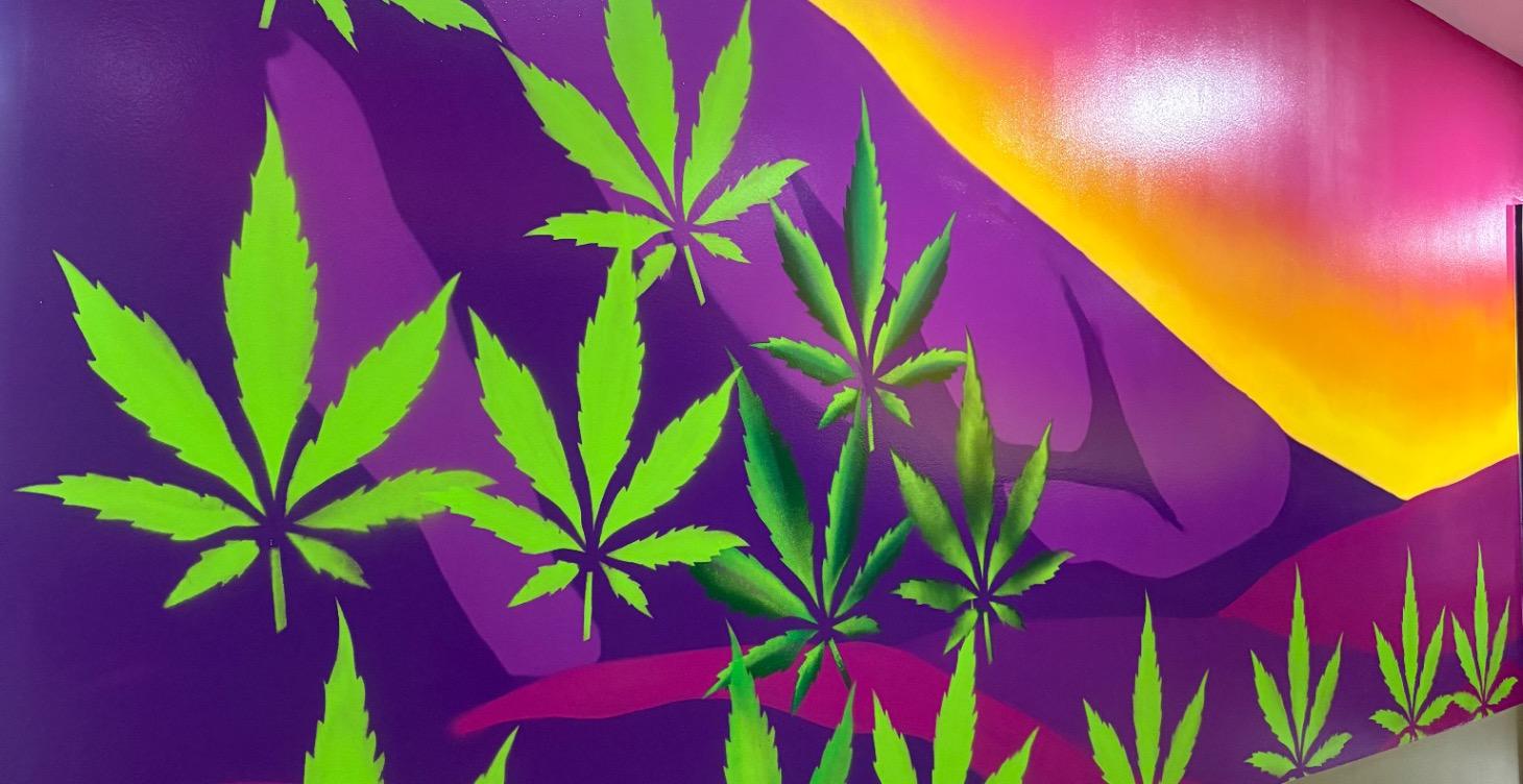 Cannabis and Terpenes