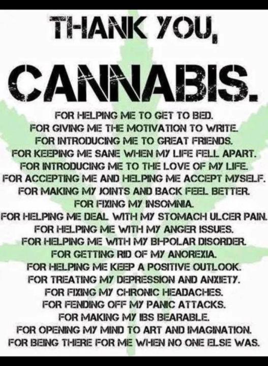 Thank you CANNABIS💚💚