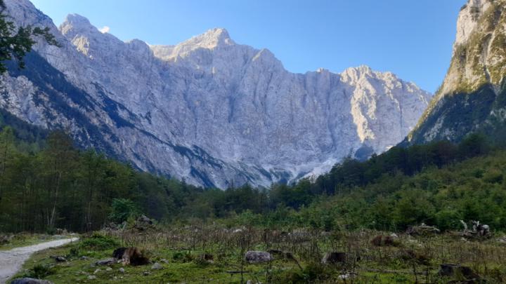 Herbert Weissenbacher