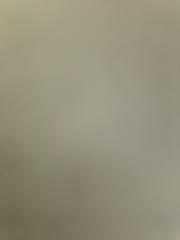 Evelyn Vargas barahona