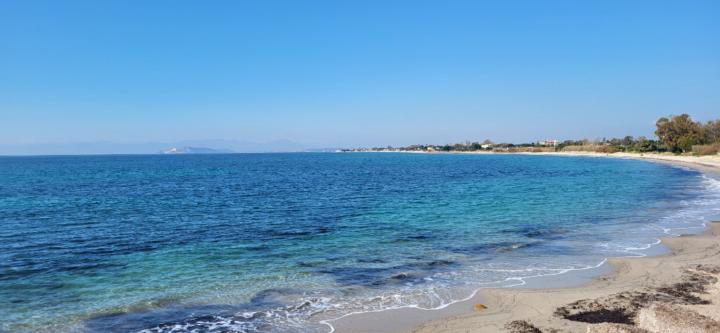 Hans van den Thillart