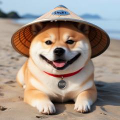 Tuong Tiet