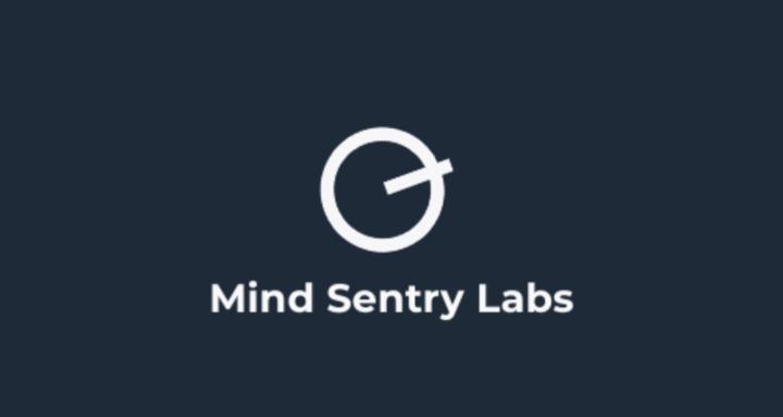 Mind Sentry Labs