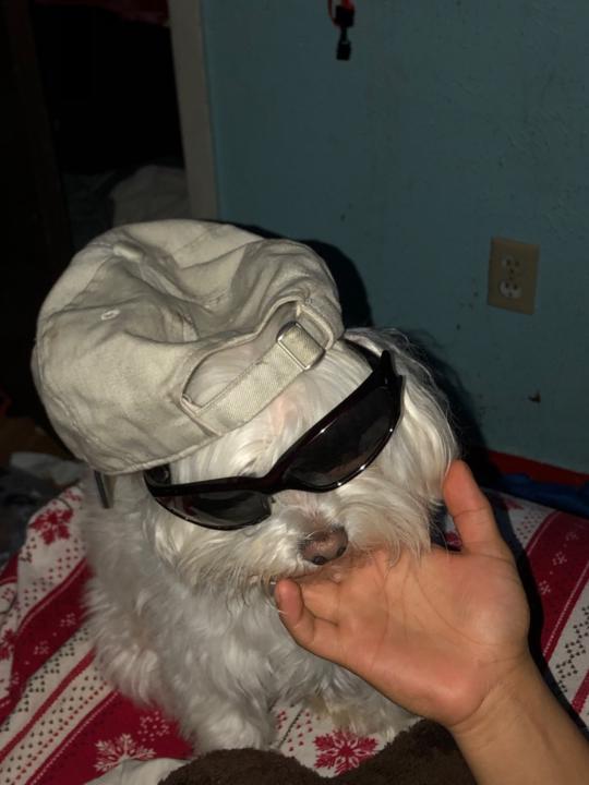 Angel Cervantes