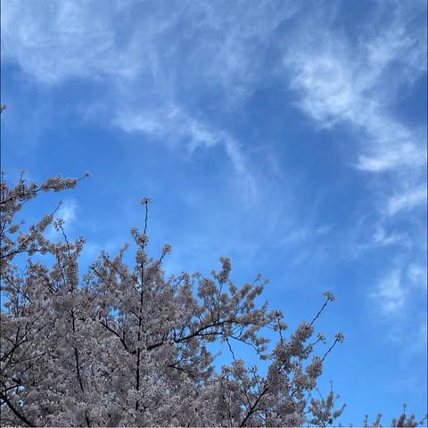 森山 太雅