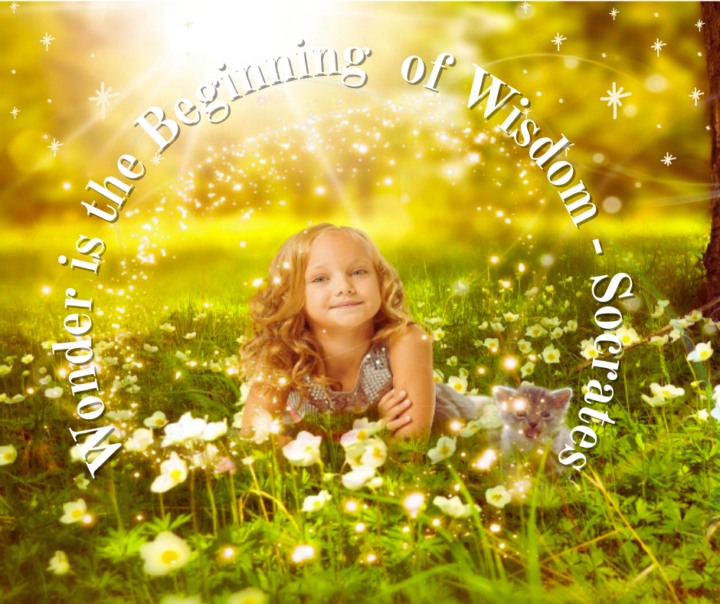 How “wonder” filled my calendar in 24 hours